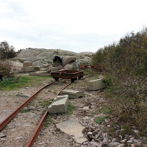 11-14425429_1060149184092591_4119975739266549687_o